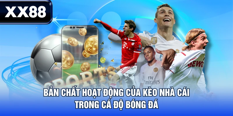 Khám Phá Kèo Nhà Cái Từ A Đến Z - Cẩm Nang Cho Người Mới