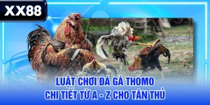 XX88 SERVICE🎖️ Trang Chủ XX88.COM T8.2026 | Đăng Ký XX 88 Ngay +198K
