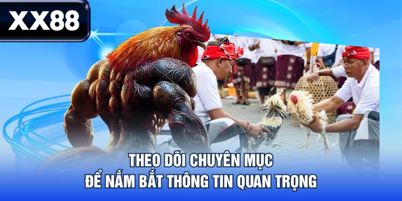 Đá Gà XX88 - Trải Nghiệm Dịch Vụ Đa Dạng, Nhận Quà Hấp Dẫn